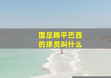 国足踢平巴西的球员叫什么