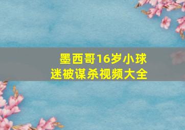 墨西哥16岁小球迷被谋杀视频大全