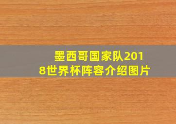 墨西哥国家队2018世界杯阵容介绍图片