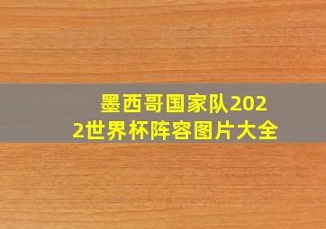 墨西哥国家队2022世界杯阵容图片大全