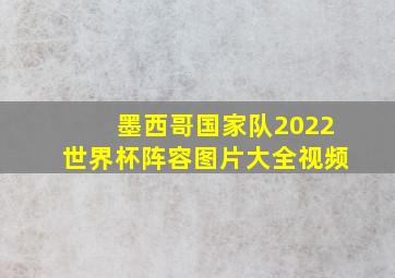 墨西哥国家队2022世界杯阵容图片大全视频