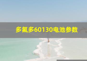 多氟多60130电池参数