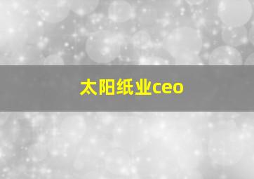 太阳纸业ceo