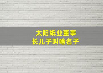 太阳纸业董事长儿子叫啥名子