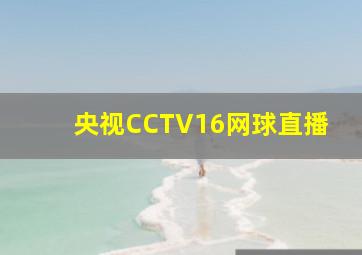 央视CCTV16网球直播