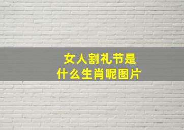 女人割礼节是什么生肖呢图片