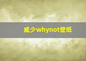 威少whynot壁纸