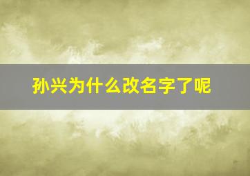 孙兴为什么改名字了呢