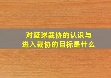 对篮球裁协的认识与进入裁协的目标是什么