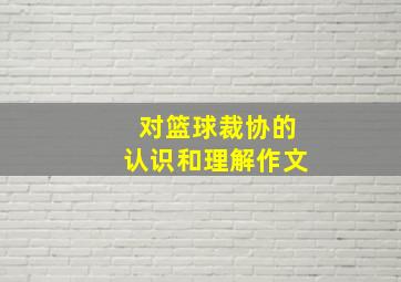 对篮球裁协的认识和理解作文