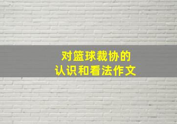 对篮球裁协的认识和看法作文