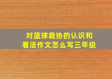 对篮球裁协的认识和看法作文怎么写三年级