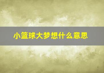 小篮球大梦想什么意思