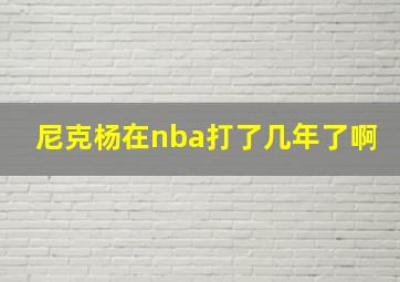 尼克杨在nba打了几年了啊