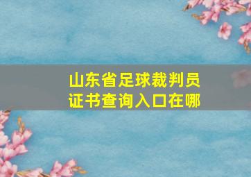 山东省足球裁判员证书查询入口在哪