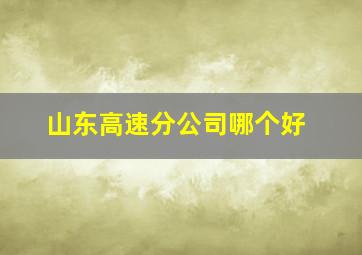 山东高速分公司哪个好