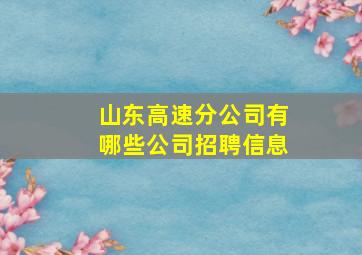 山东高速分公司有哪些公司招聘信息