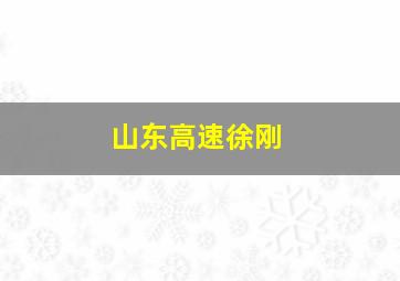 山东高速徐刚