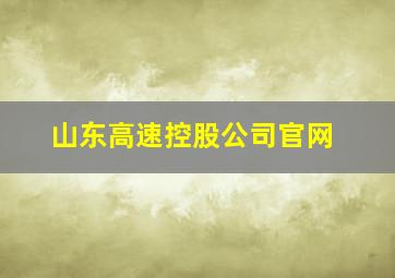 山东高速控股公司官网