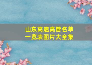 山东高速高管名单一览表图片大全集