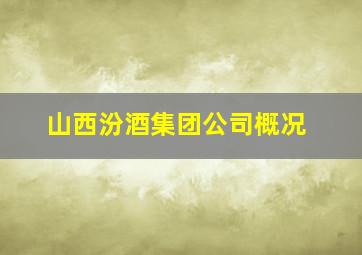 山西汾酒集团公司概况