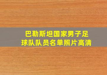 巴勒斯坦国家男子足球队队员名单照片高清