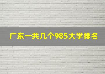 广东一共几个985大学排名