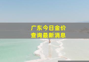 广东今日金价查询最新消息