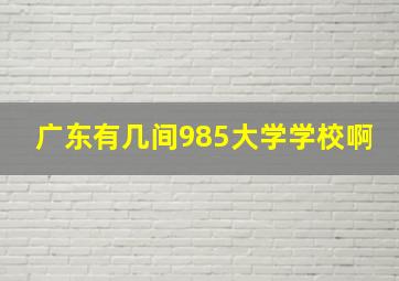 广东有几间985大学学校啊