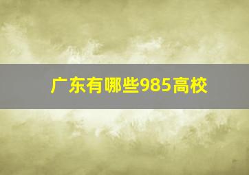 广东有哪些985高校