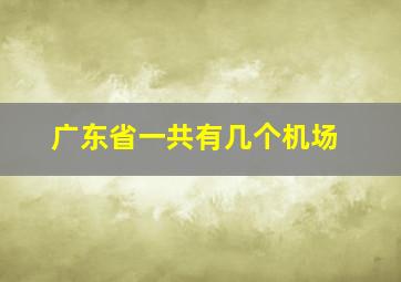 广东省一共有几个机场