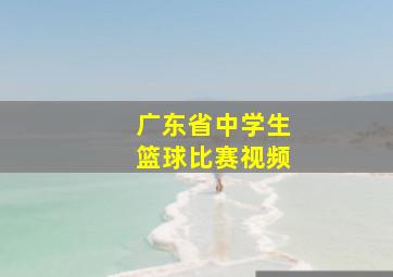 广东省中学生篮球比赛视频