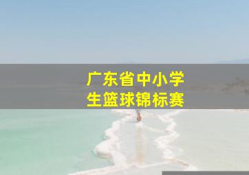 广东省中小学生篮球锦标赛