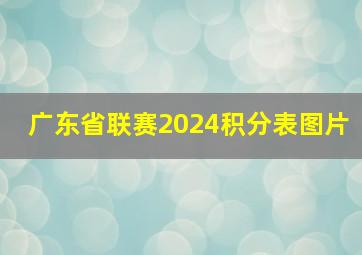 广东省联赛2024积分表图片