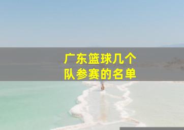 广东篮球几个队参赛的名单