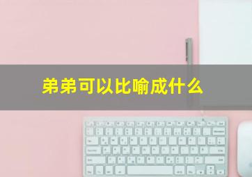 弟弟可以比喻成什么