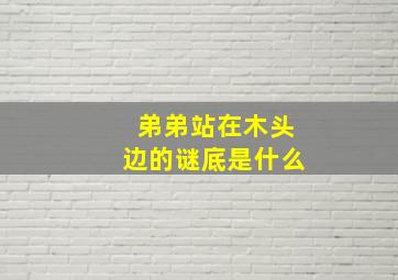 弟弟站在木头边的谜底是什么