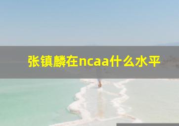 张镇麟在ncaa什么水平