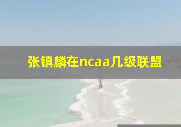 张镇麟在ncaa几级联盟