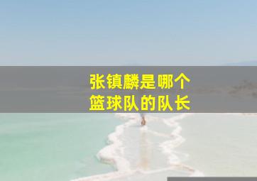 张镇麟是哪个篮球队的队长