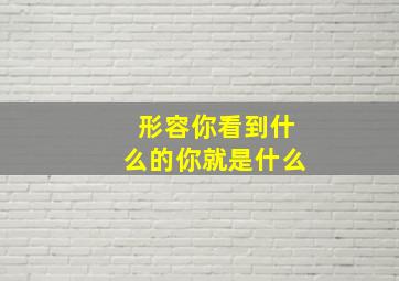 形容你看到什么的你就是什么