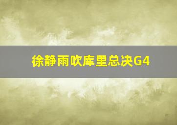 徐静雨吹库里总决G4