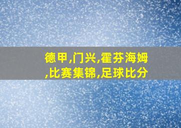 德甲,门兴,霍芬海姆,比赛集锦,足球比分