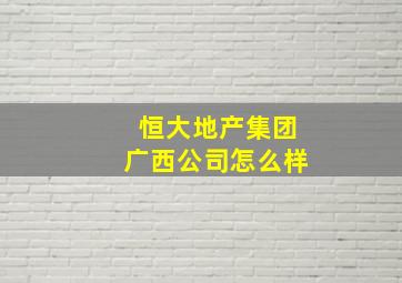 恒大地产集团广西公司怎么样