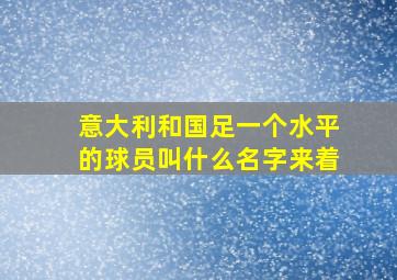 意大利和国足一个水平的球员叫什么名字来着