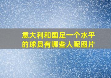 意大利和国足一个水平的球员有哪些人呢图片