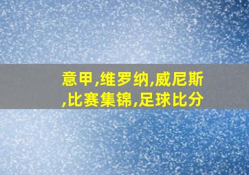 意甲,维罗纳,威尼斯,比赛集锦,足球比分