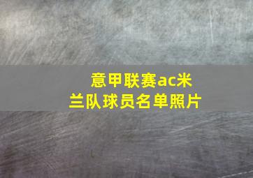 意甲联赛ac米兰队球员名单照片