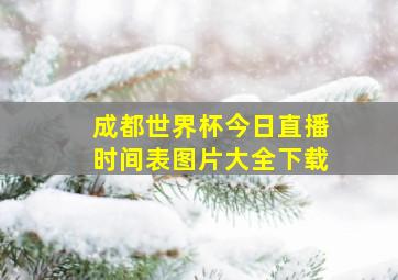 成都世界杯今日直播时间表图片大全下载