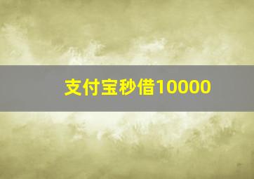 支付宝秒借10000